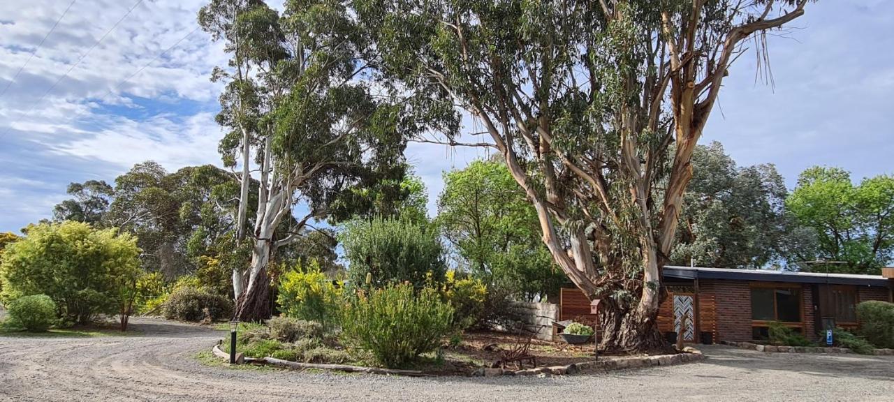 Halls Haven Holiday Units Halls Gap Exteriör bild