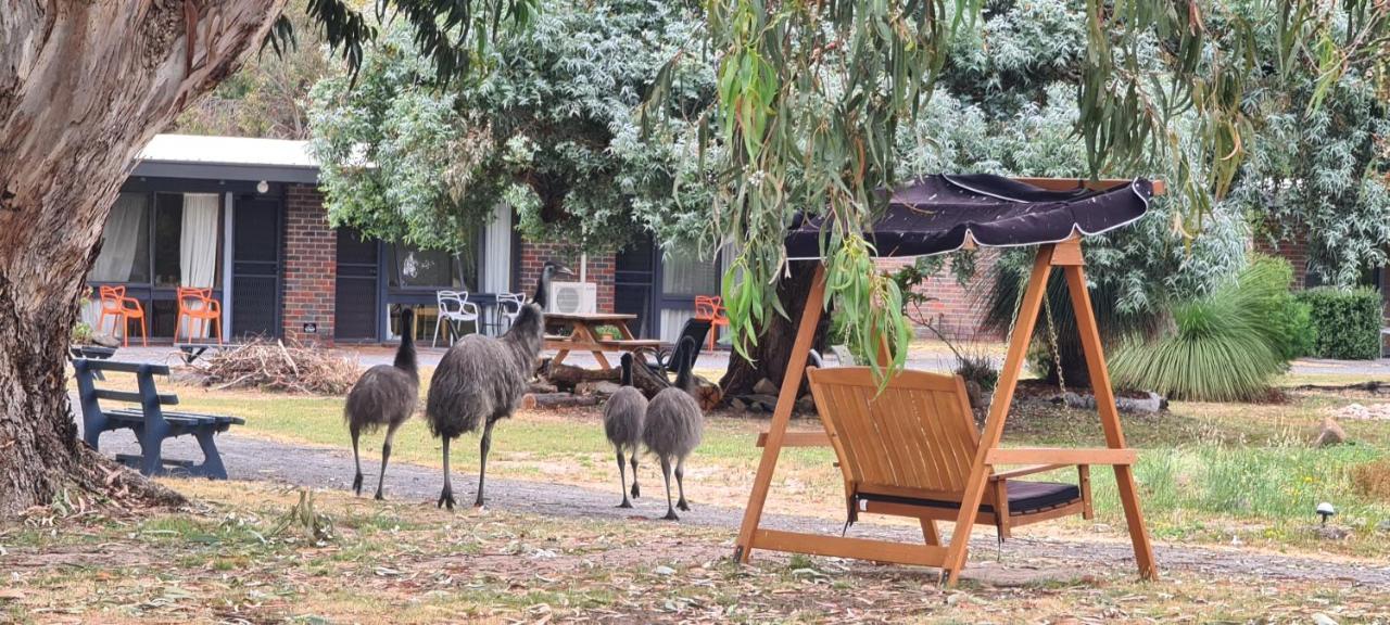 Halls Haven Holiday Units Halls Gap Exteriör bild